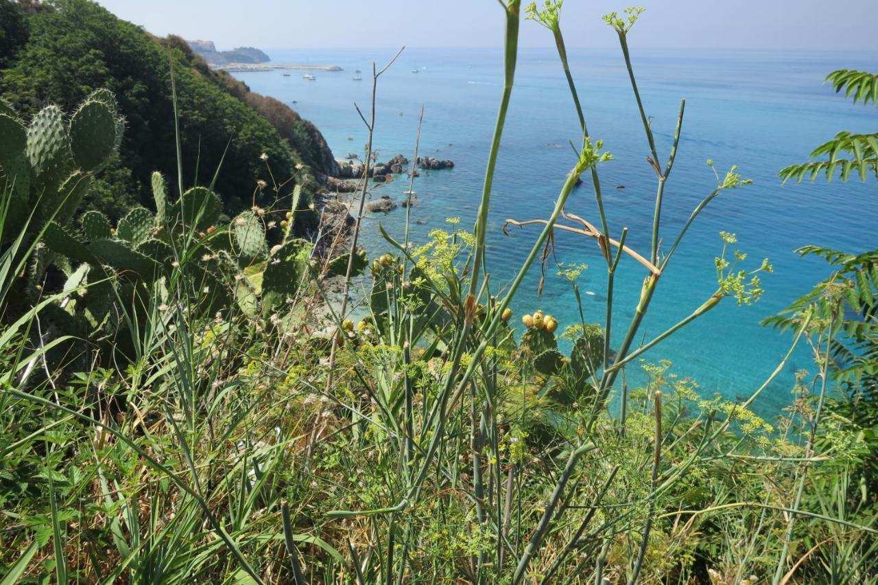 Il Limoneto, Casa Vacanze Parghelia-Tropea Βίλα Εξωτερικό φωτογραφία